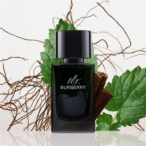 mr burberry milyen illat|mr Burberry eau de parfum.